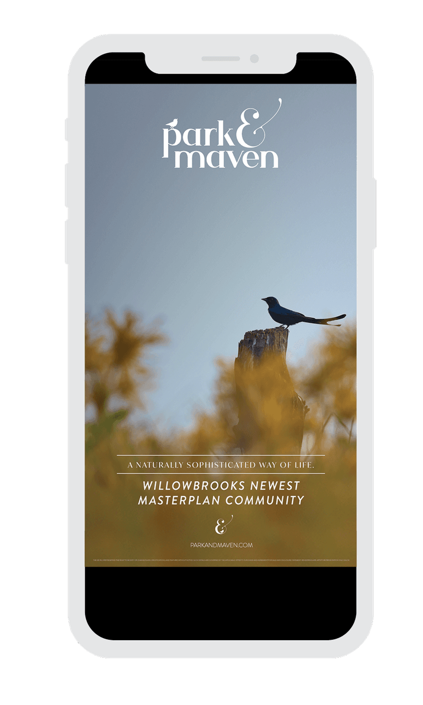 Park & Maven Mobile Ad